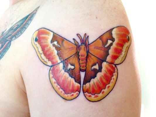 Tulip Tree Silk Moth tattoo