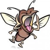 This is the Screaming Gnat.