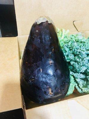 Massive organic eggplant + organic kale