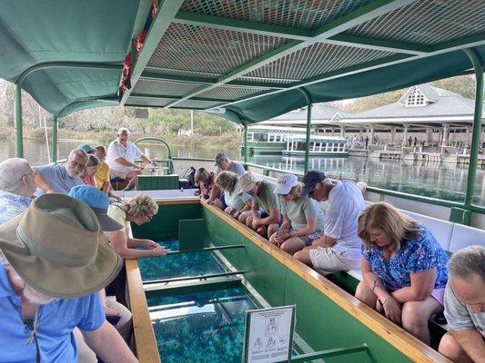 Glass bottom boat