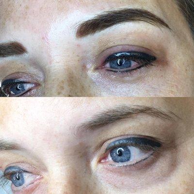 Powder Brows Permanent Makeup Eyebrows