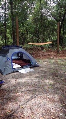 Plenty of shade and trees for hammocks