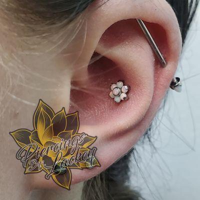 Conch with opal flower