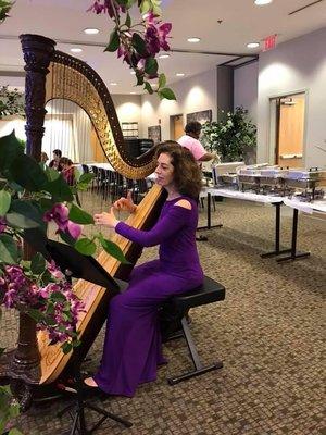 Lisa of Harpnotes performing on her hand carved Acoustic Harp.