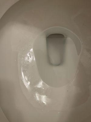 Deep cleaning of the toilet bowl wasn't even touched.