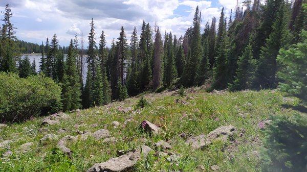 path down to lake - very nice and very steep