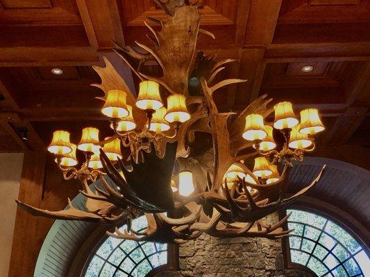 moose antlers chandelier