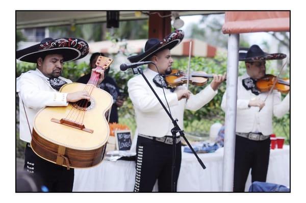 Mariachi Voces de America