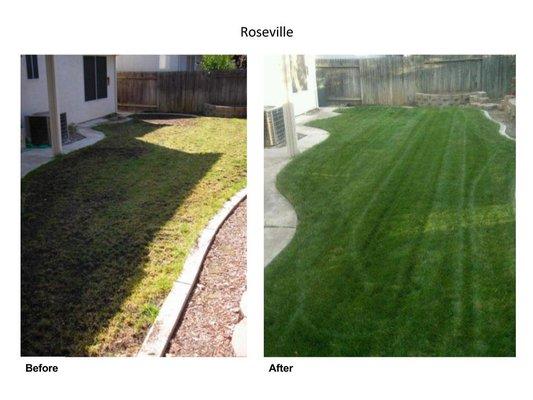 Sierras Lawn Aeration