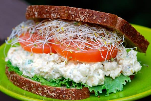 Tuna Salad Sandwich with sprouts