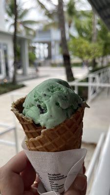 Mint chocolate chip ice cream in a single waffle cone