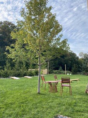 Green space with cornhole