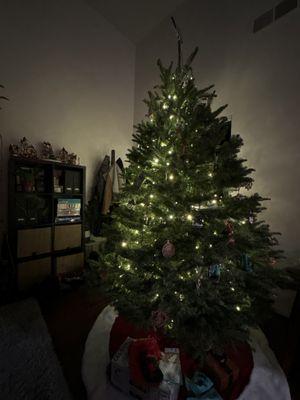 Our selected tree with lights and bulbs