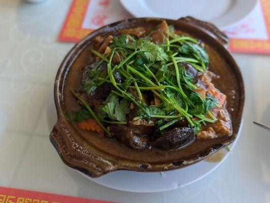 Braised Beef Stew