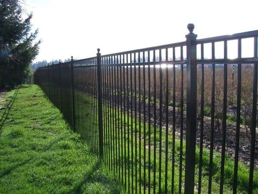 Ornamental Metal Fencing