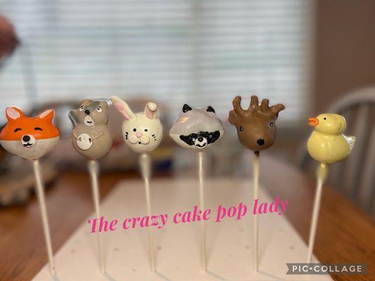 The Crazy Cake Pop Lady