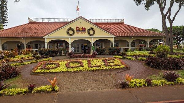 Dole plantation