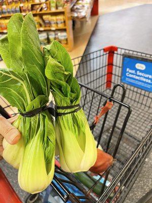 They have really good baby bok choy