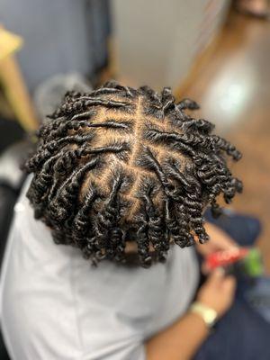 Traditional Starter Locs (2-Stand Twists)