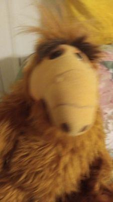 Alf doll perfect condition needing sale collectable