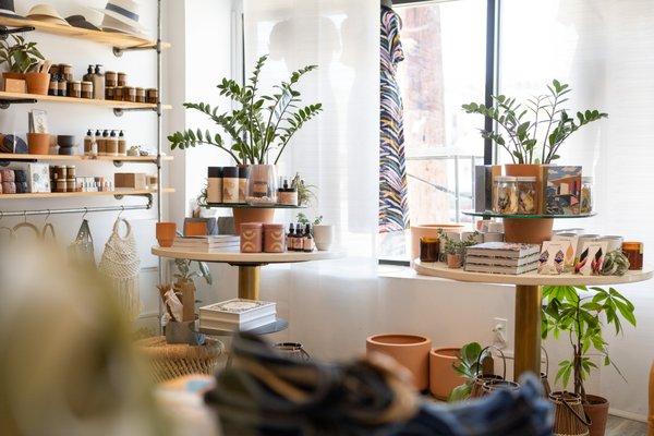 Book, candles, plants all on display