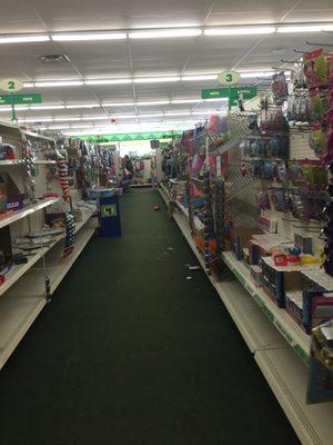 Dollar Tree Rochester -- 24 Lilac Mall, Rochester           Interior