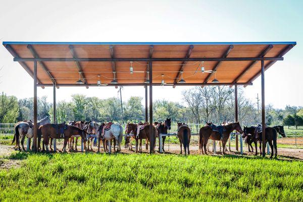 River Ranch Horses