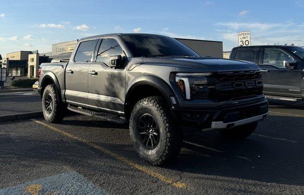 Stock raptor