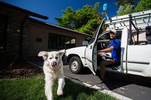 Buddy welcomes Window Cleaner