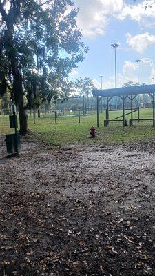 The mandatory fire hydrant, a poop bag dispenser and trash can and of course a nice shaded seating area