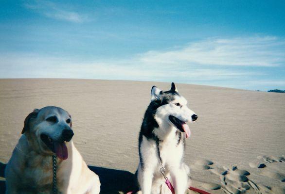 Sandy and Misty at the beach in Oregon