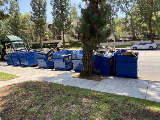 at least 8 black dumpsters were removed and we were left with recycling bins only which led to ... see next photo