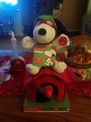 I did pick up this neat Snoopy Christmas decoration though!