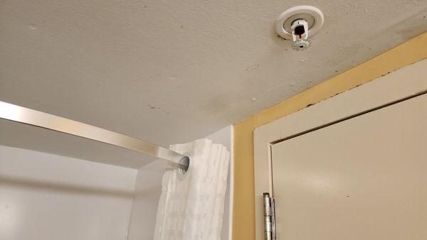 More mold on the ceilings in bathroom.