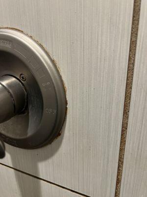 Mildew on the wall and knob