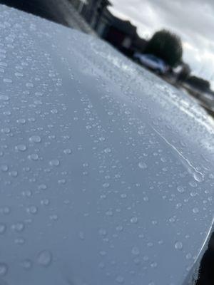 Performance of the ceramic coating five-year coat