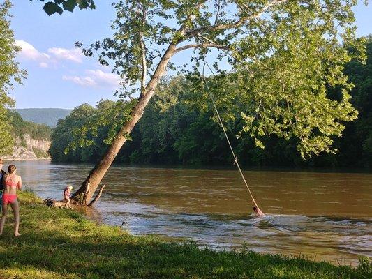 Rope swing into South fork Shenandoah river!