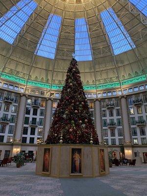 Beautiful Christmas Tree in West Baden Atrium from Ballards table on January 3rd.