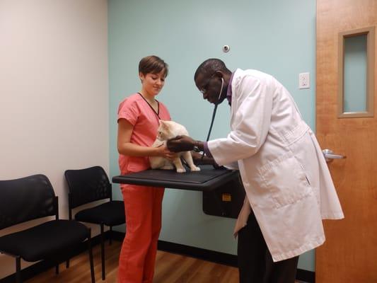 Cat only Exam room