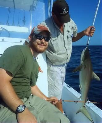 3.5ft Bull Shark