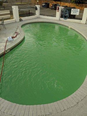 Austin condominium pool.  This is before our services.  The residents weren't using the pool