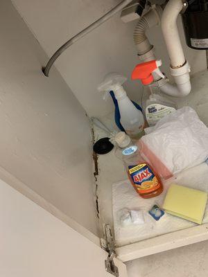 This is under sink dirty rags and tissue