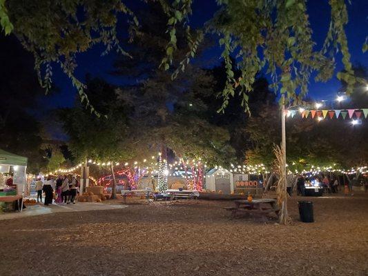 Moreland Pumpkin Patch (Halloween night)