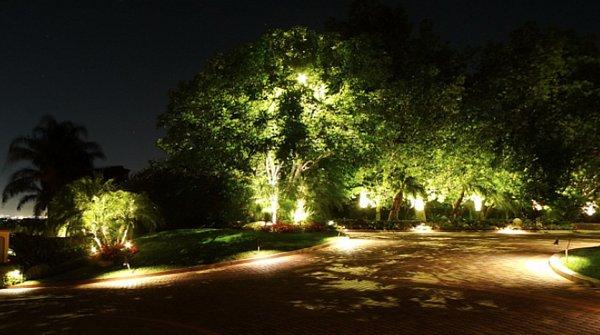 Landscape Lighting