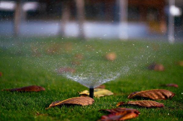 Pop up sprinkler