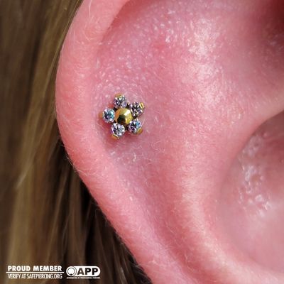 Flower piercings in a helix