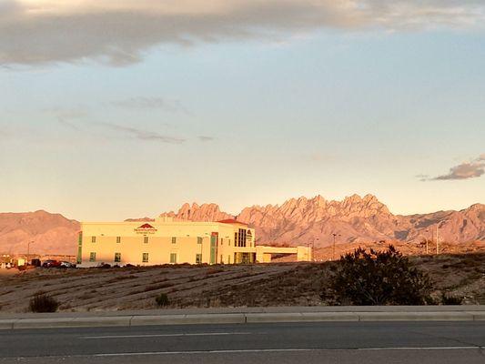 In front of the Organ Mountains.