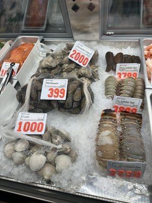 Shellfish for sale