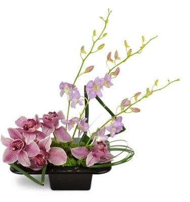 Shanghai Dusk Orchids: http://www.driftwoodfloristjupiter.com/jupiter-flowers/shanghai-dusk-orchids#.Vb-X8MZViko