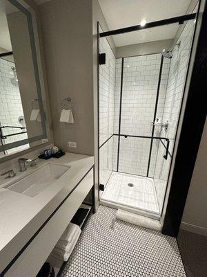 Shower/Bathroom